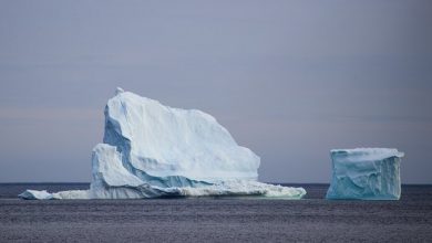 انتقال کوه یخ از قطب جنوب به امارات