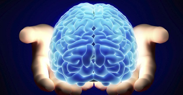 مغز رايانه‌اي گوگل ساخته شد