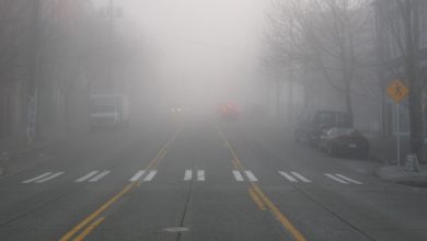 چشم اندازی در مه
