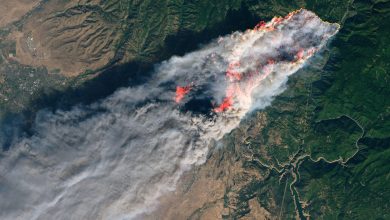 تصاویر ناسا از آتش سوزی کالیفرنیا