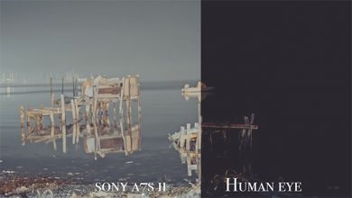 مقایسه دوربین عکاسی سونی با چشم انسان