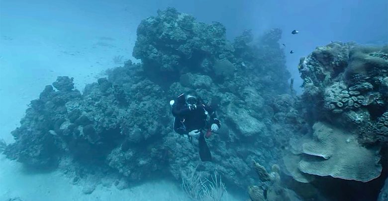 بهترین دوربین فیلم برداری VR از اعماق دریا