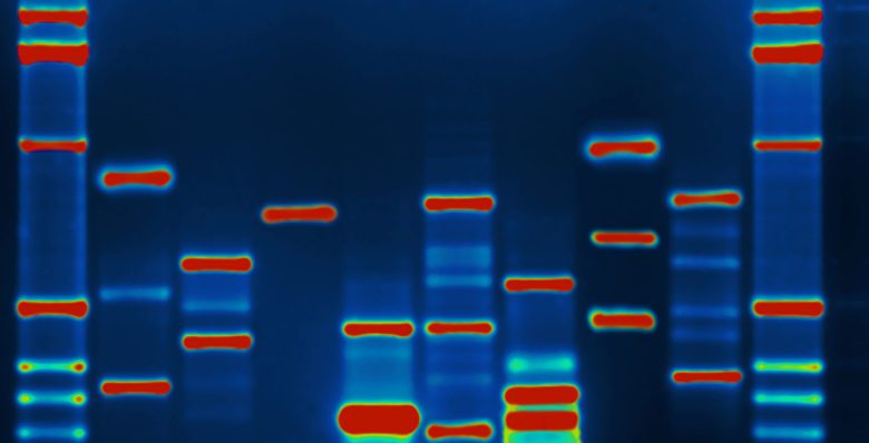 هک اطلاعات با کمک DNA