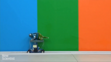 روباتی که استتار می‌کند+ویدئو