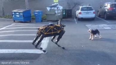 تقابل سگ و روبات+ ویدیو
