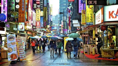 زمینه‌های رشد کسب‌وکار در کره‌جنوبی