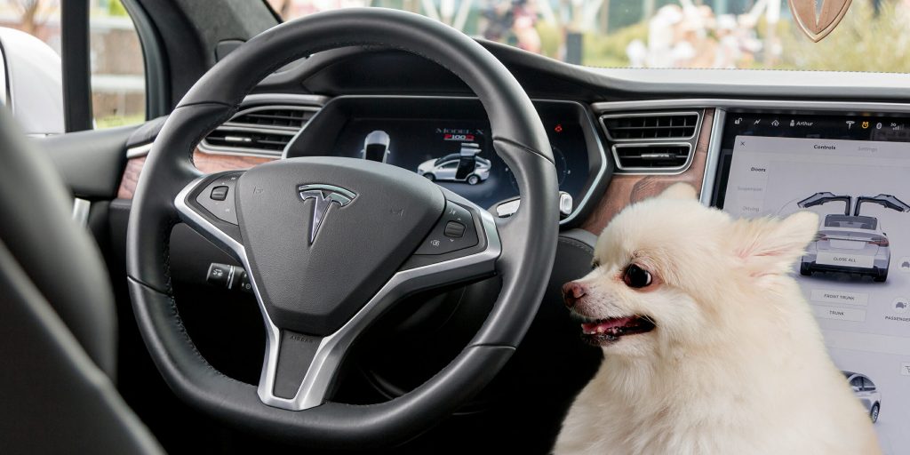 قابلیت Dog Mode اجازه گرم شدن بیش از حد هوای داخل خودرو در صورت بودن حیوان در آن را نمی‌دهد