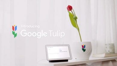 گوگل تولیپ ، با گیاهان و لاله ها حرف بزنید