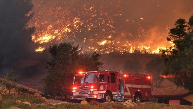 کاربر هوش مصنوعی هنگام بروز آتش سوزی‌های مهیب