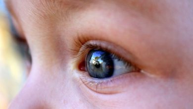  اپلیکیشنی که می‌تواند بیماری چشمی ‌را از روی عکس تشخیص دهد