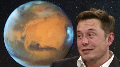 ایلان ماسک: ایجاد شهری پایدار در مریخ به 1000 موشک و 20 سال زمان نیاز دارد