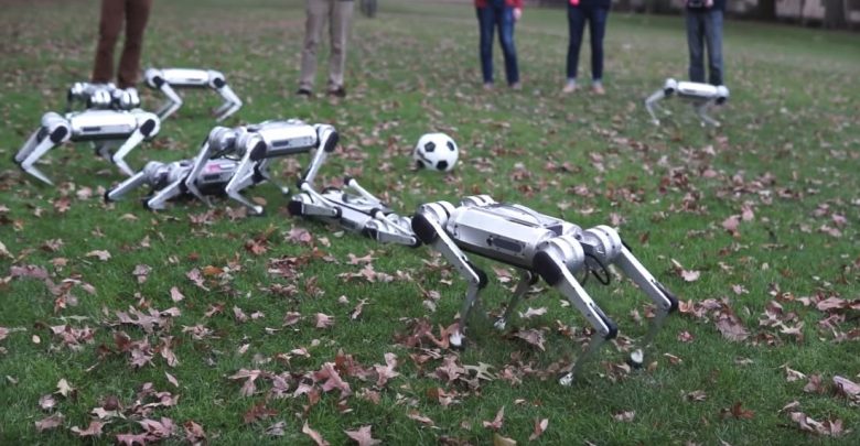 ربات کوچک و پر جنب و جوش MIT