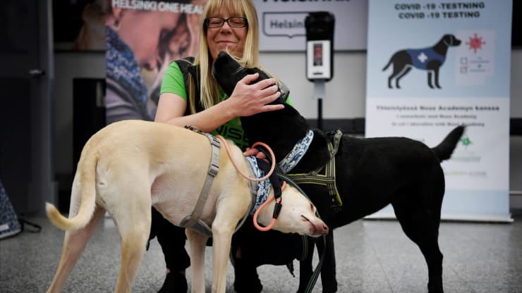 استفاده از سگ های کرونایاب در فرودگاه هلسینکی