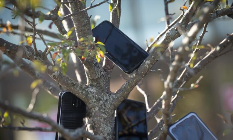 چرا رانندگان آمازون، گوشی های خود را به درخت ها آویزان می کنند؟