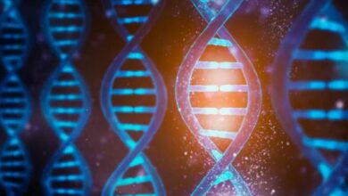 تحلیل ژنوم سریع‌تر و ارزان‌تر با دستاورد جدید محققان انویدیا و هاروارد