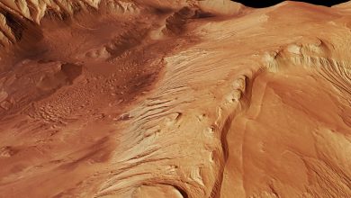 کشف حجم زیادی از آب در سیاره مریخ