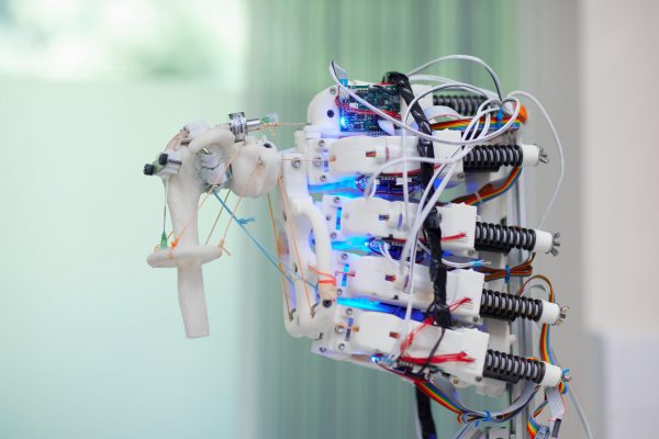 دستیابی محققان به روشی برای رشد سلول‌ در اسکلت ربات‌ها