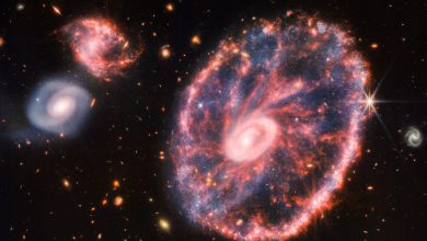 تصویر کهکشان چرخ توسط تلسکوپ جیمز وب ثبت شد