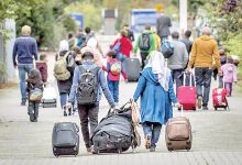 سرمایه انسانی در خطر انقراض