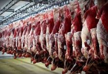 چرا توزیع گوشت دولتی فقط با صف ممکن است؟