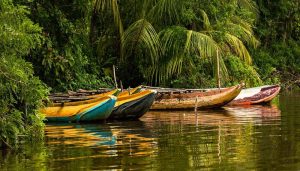 تفریحات در جزیره سینامون