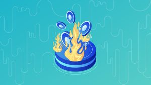 کدام میم‌کوین‌ها توکن‌سوزی دارند؟
