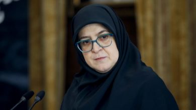 سخنگوی دولت: منتقدان٬ «لایحه مقابله با انتشار محتوای خلاف واقع» را کامل بخوانند