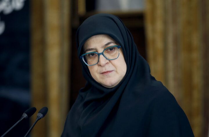 سخنگوی دولت: منتقدان٬ «لایحه مقابله با انتشار محتوای خلاف واقع» را کامل بخوانند