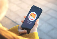 ایردراپ شیبا؛ فرصت‌های رایگان کریپتو