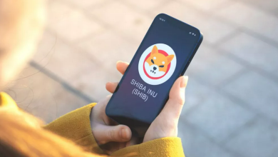 ایردراپ شیبا؛ فرصت‌های رایگان کریپتو