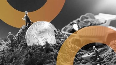 یک ماینر شخصی برنده پاداش ۲۶۶ هزار دلاری بیت‌کوین شد