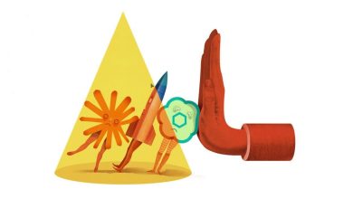 آیا بازار سهام آماده پذیرش غولهای جدید فناوری است؟