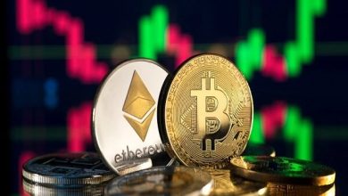 اهمیت افزایش سواد دیجیتال کاربران بازار رمزارز در شرایط بحران